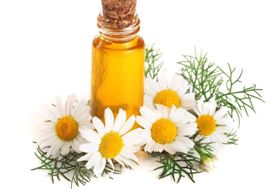medicinal herb