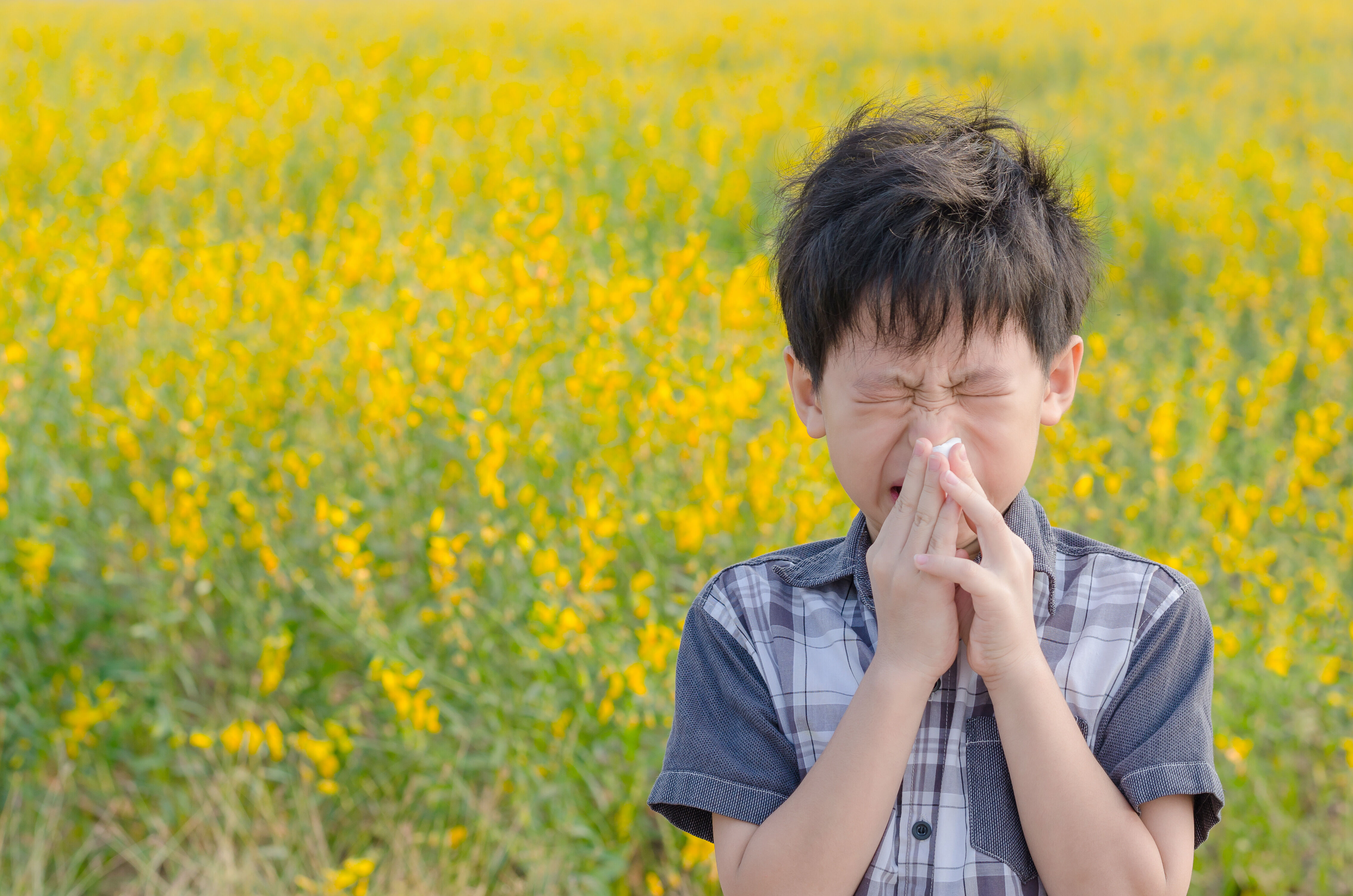 Allergic child sneezes in a field with flower