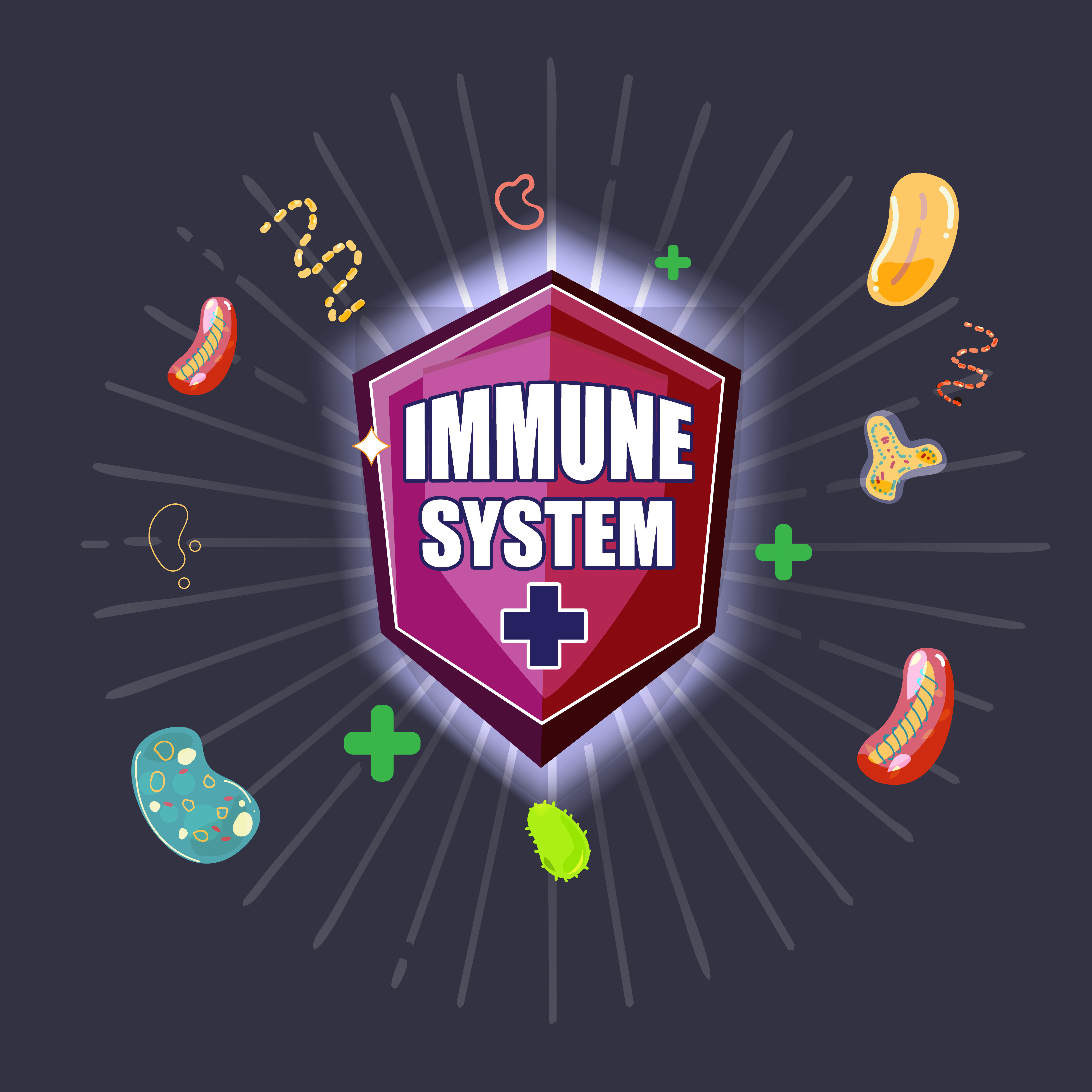 Immune system