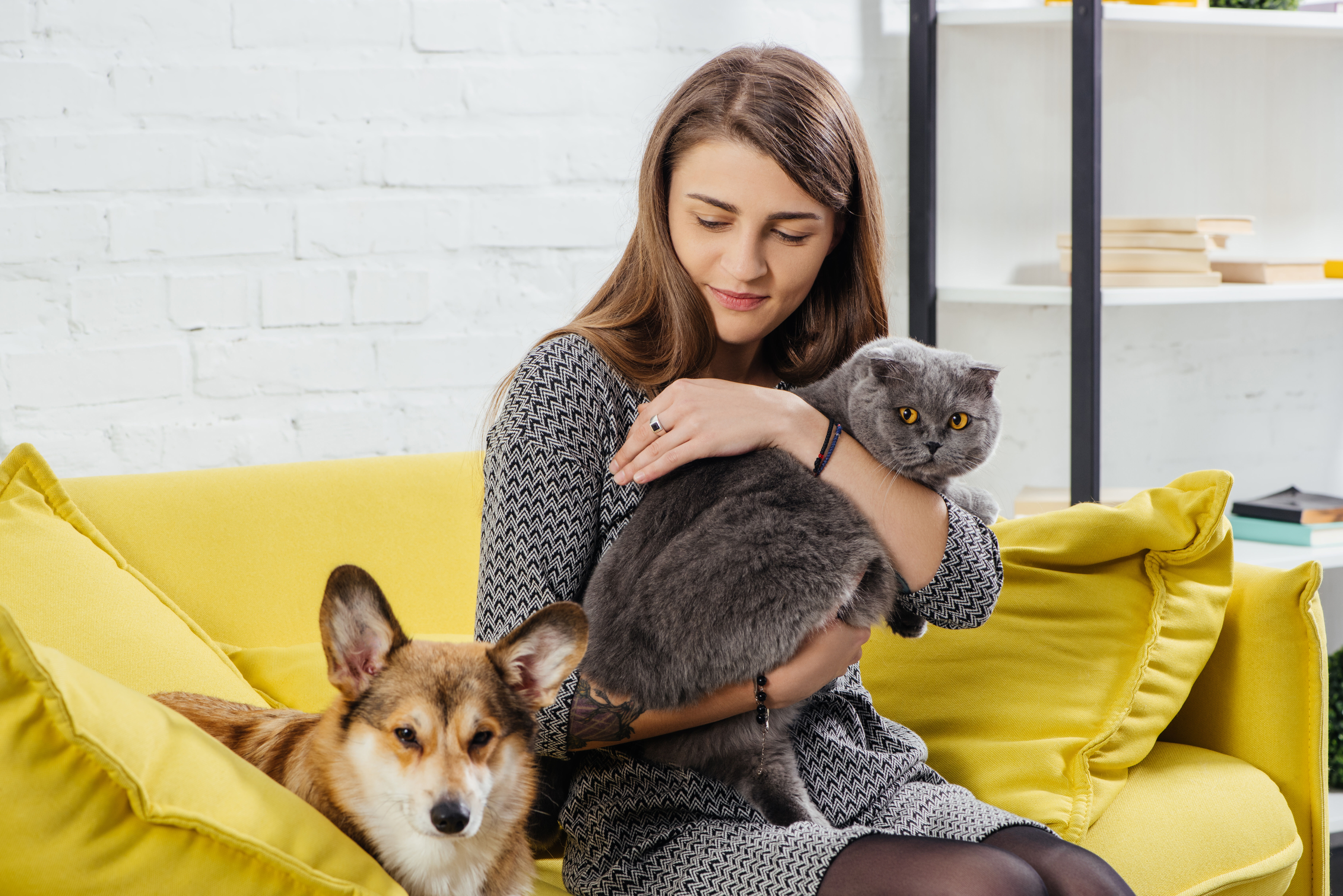 Woman holding cat near dog