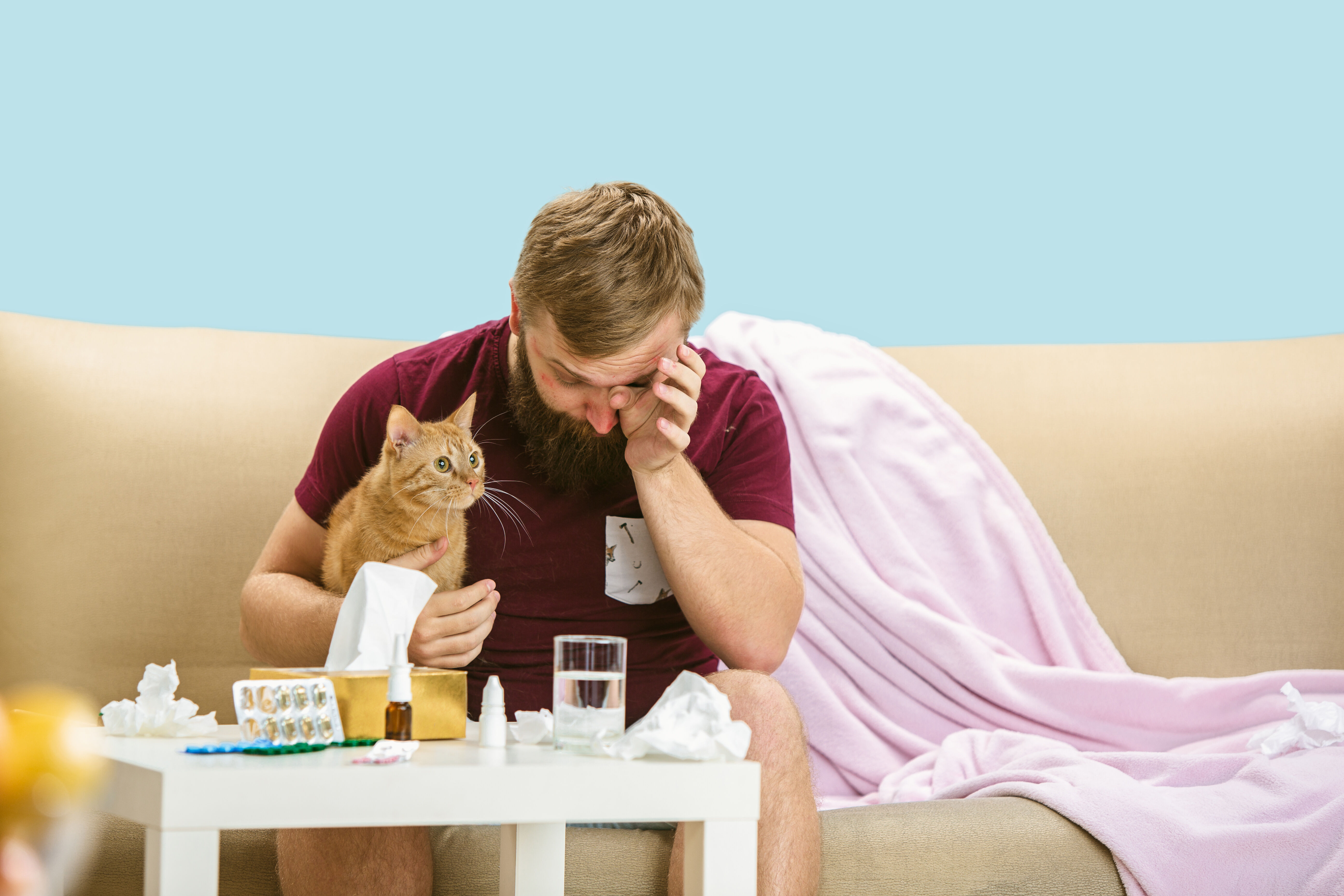 Allergic person with a cat and medications