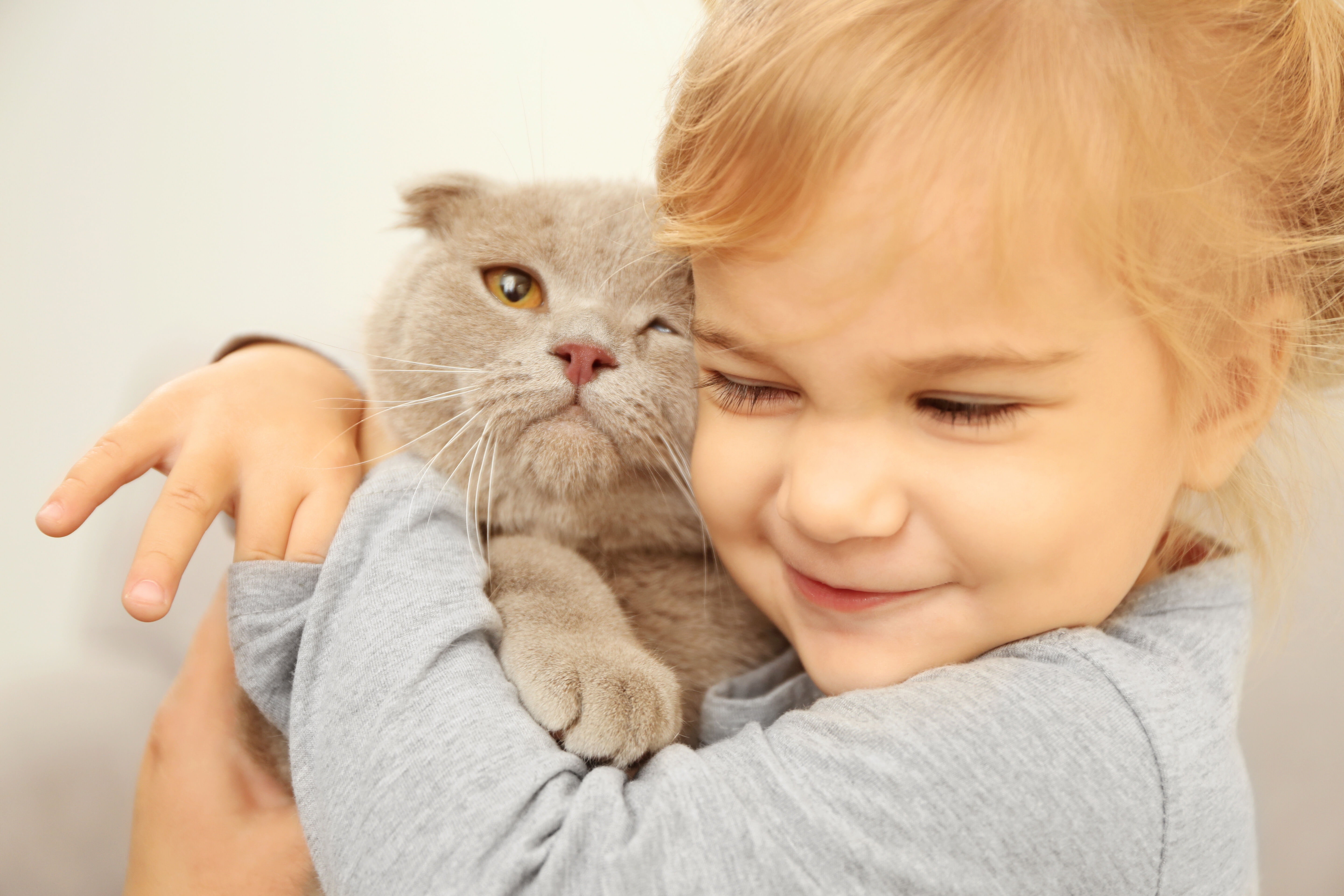 Kitten and girl